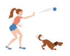 image promenade chiens site TrotDogs